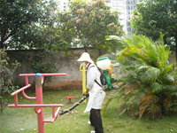 2014年4月30日康凈公司積極參加由南寧市愛衛(wèi)辦組織的服務(wù)全國體操錦標賽主會場病媒防制工作