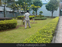 南寧第45屆體操世界錦標賽主賽場、訓(xùn)練場病媒生物防制工作